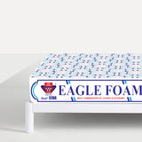 Five Star Eagle Foam(10 Years)